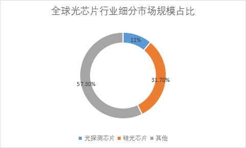 细分市场规模占比
