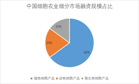 细分市场融资规模占比
