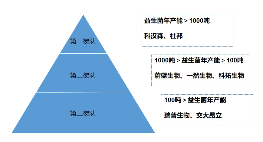 市场梯队
