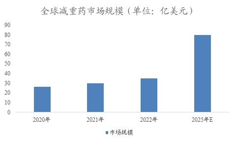 全球及中国减重药行业分析报告 全球及中国减重药行业分析报告