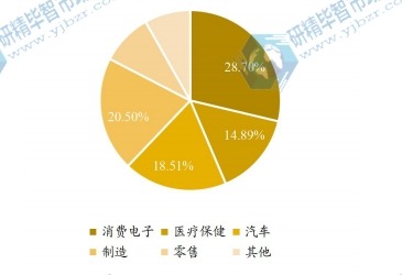 全球物联网芯片下游应用分布格局 2021 全球物联网芯片下游应用分布格局 2021