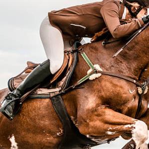 全球及中国马术装备市场调研及投资前景分析调研报告-2015-2026