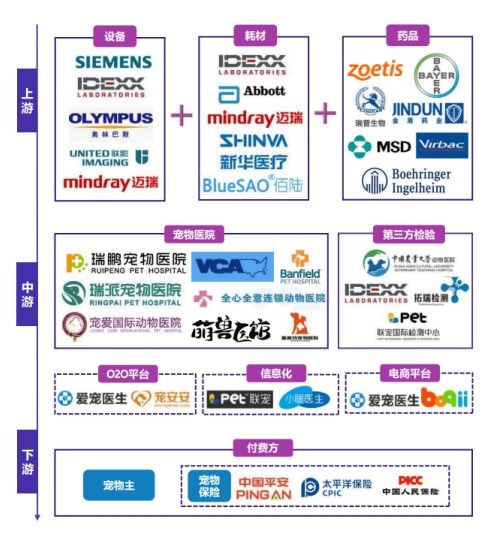 宠物医疗器械产业链