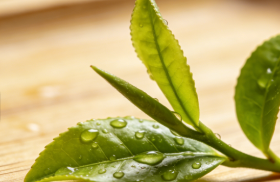 全球茶叶市场高增长赛道与用户消费消费趋势分析